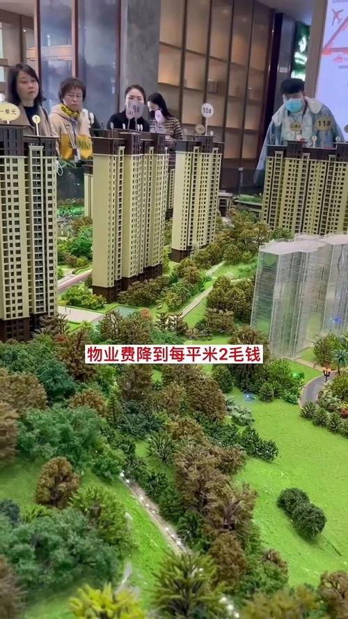 爆料房地产视频大全集最新,最新爆料视频大全集深度解析 第2张 爆料房地产视频大全集最新,最新爆料视频大全集深度解析 第2张