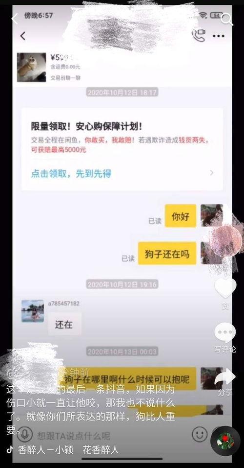 爆料发短视频,揭秘幕后真相