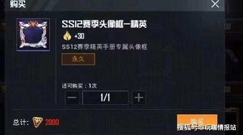 和平精英皮肤ss17最新爆料,全新爆料带你领略极致风采  第3张