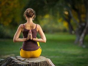 绿媒爆料韩国瑜伽视频,韩国瑜伽视频背后的惊人真相  第3张